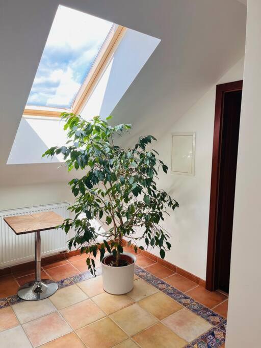 Apartman Se Zahradou 20 Minut Do Centra Prahy Orech Exterior photo